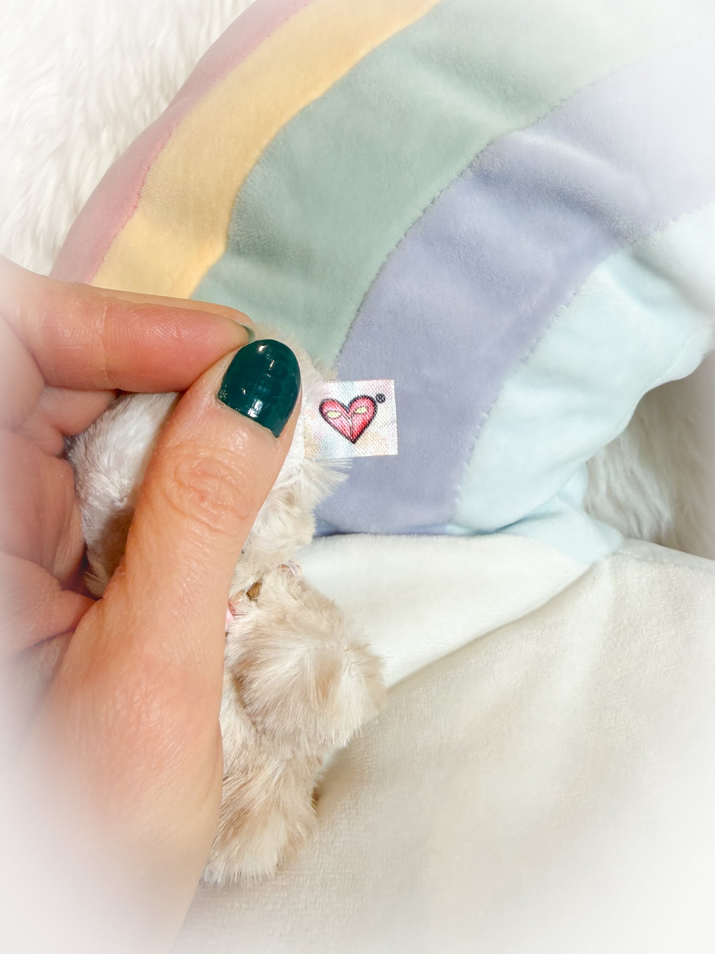 BeanTown Buddies® Tiny Fuzzi Teddi