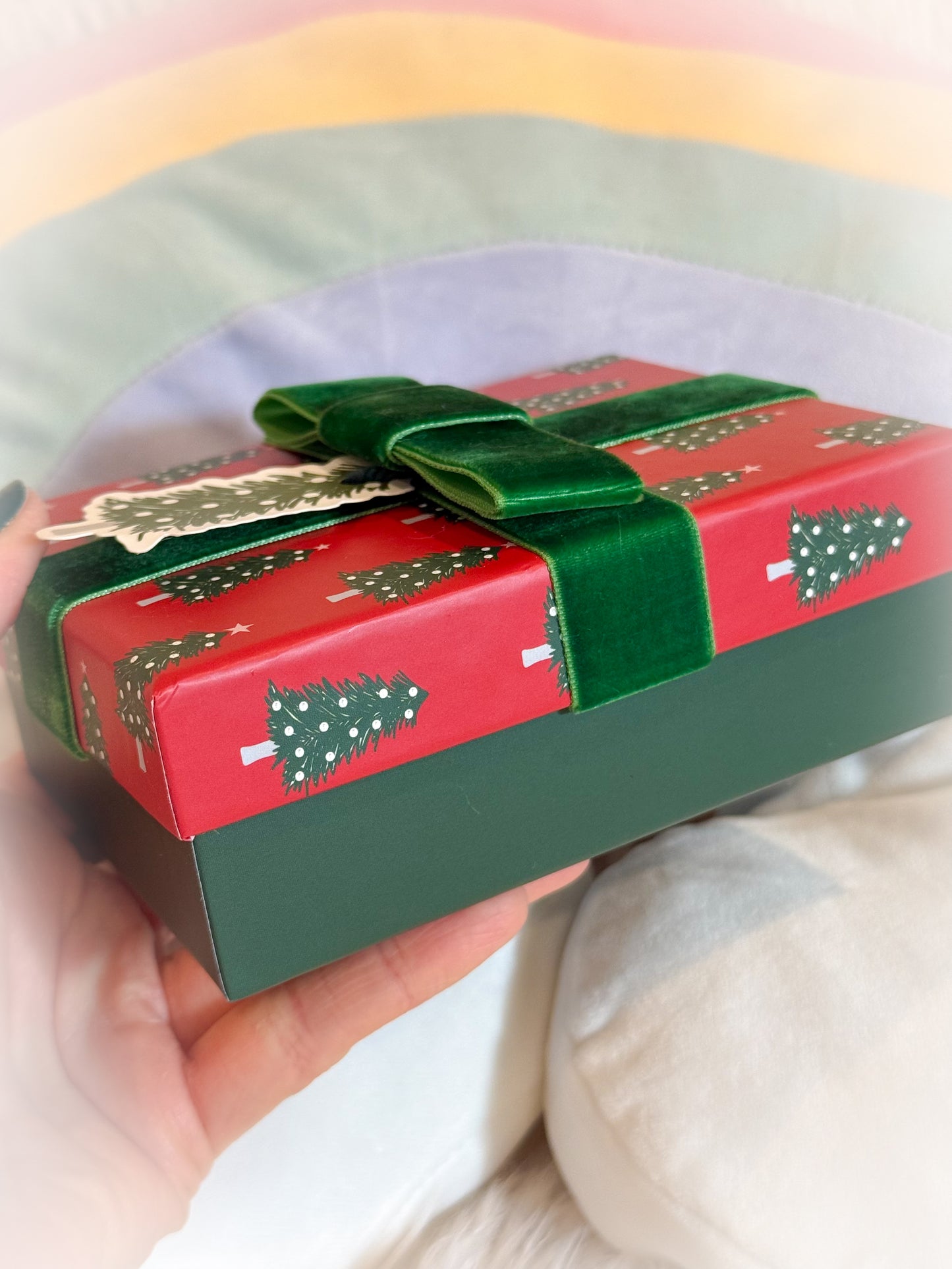 BeanTown Buddies® Tiny Teddi Gingi Collectors Set