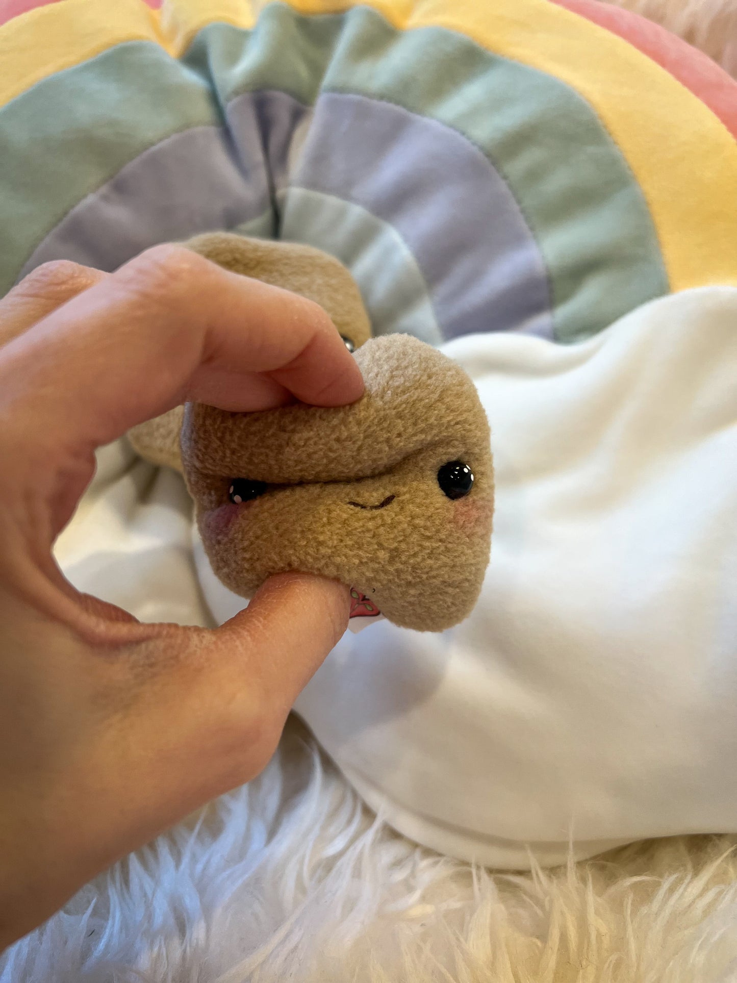 BeanTown Buddies® Pocket Shroomi Pet Rock