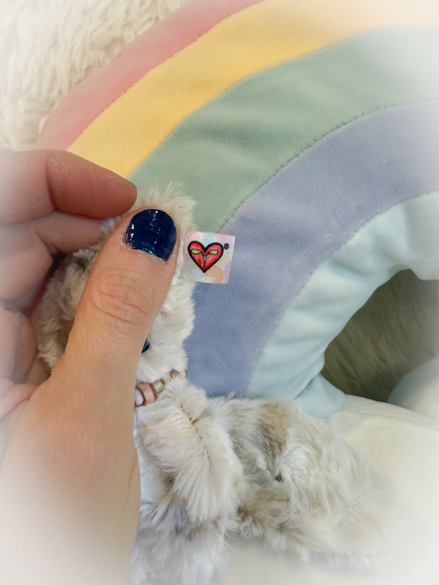 BeanTown Buddies® Tiny Wolfi