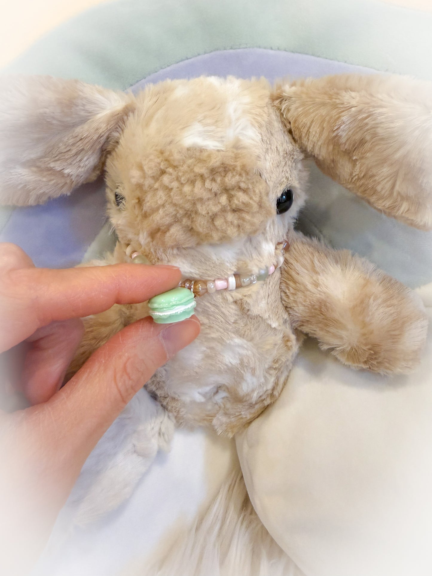 BeanTown Buddies® Pocket Babi Mossimus