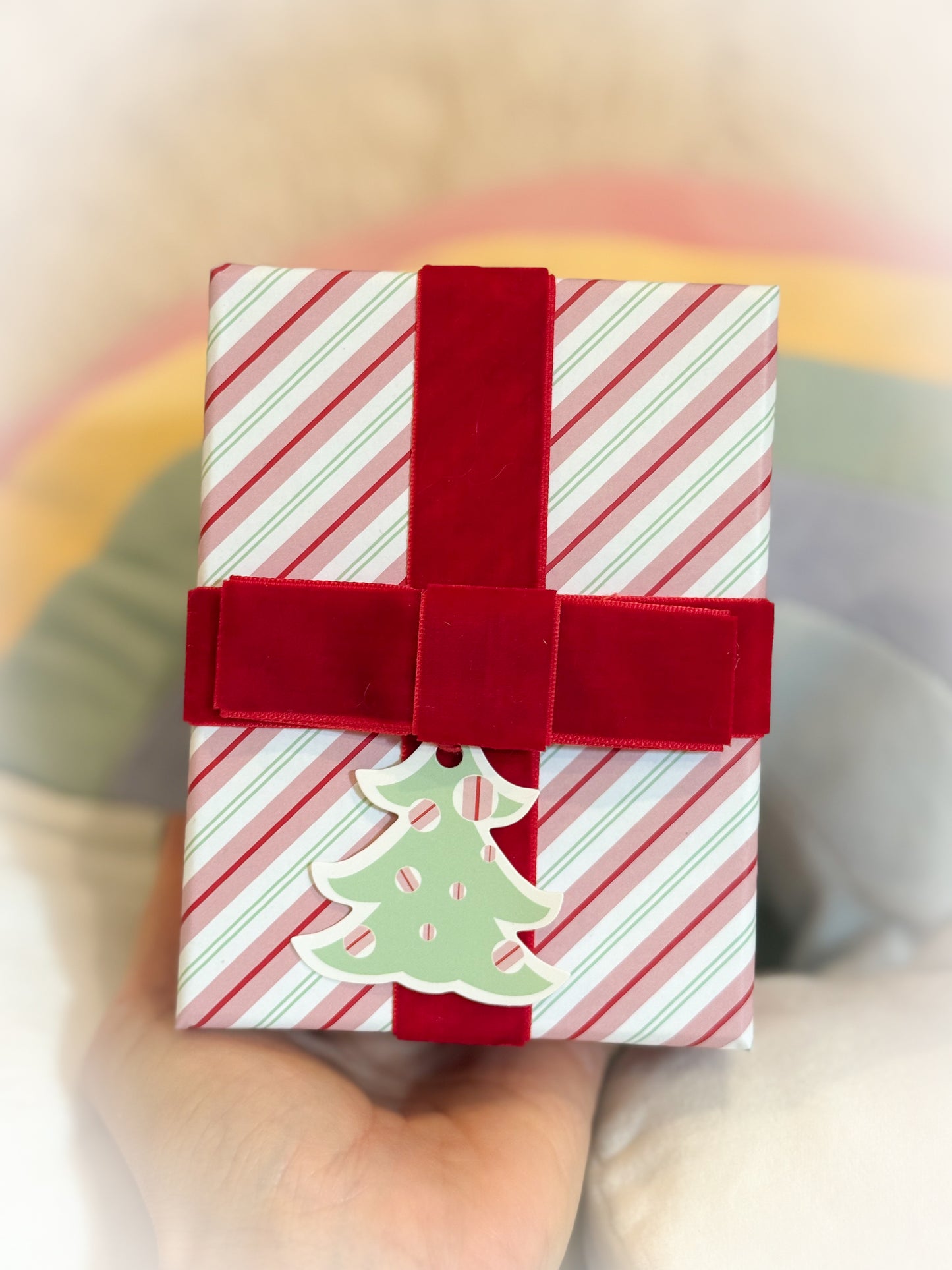 BeanTown Buddies® Tiny Teddi Gingi Collectors Set