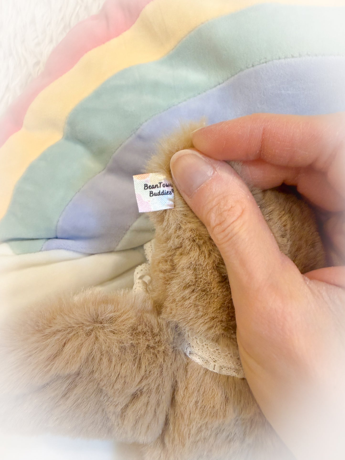 BeanTown Buddies® Pocket Floofi Bat