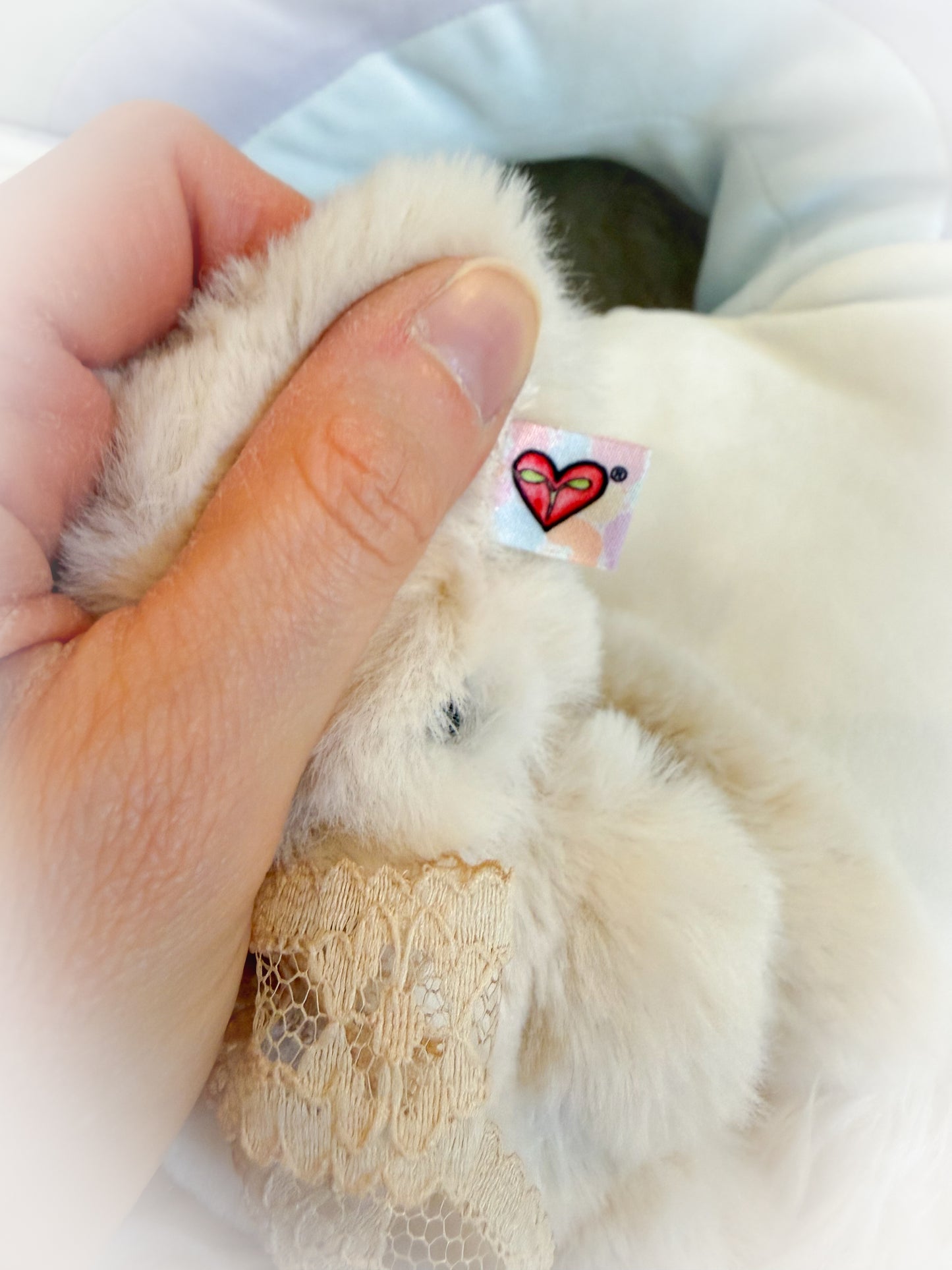 BeanTown Buddies® Micro Floofi Wolfi