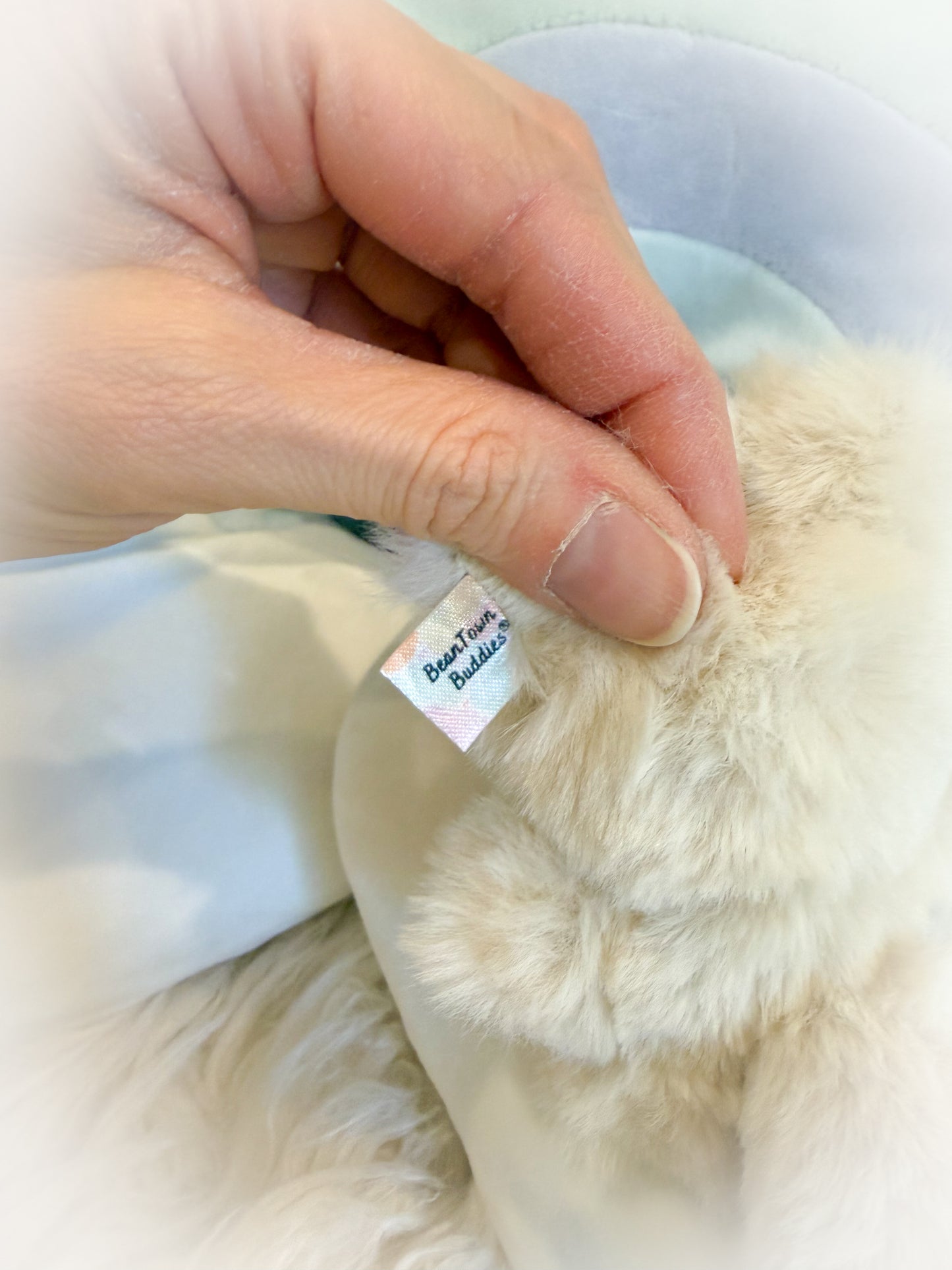 BeanTown Buddies® Tiny Floofi Wolfi