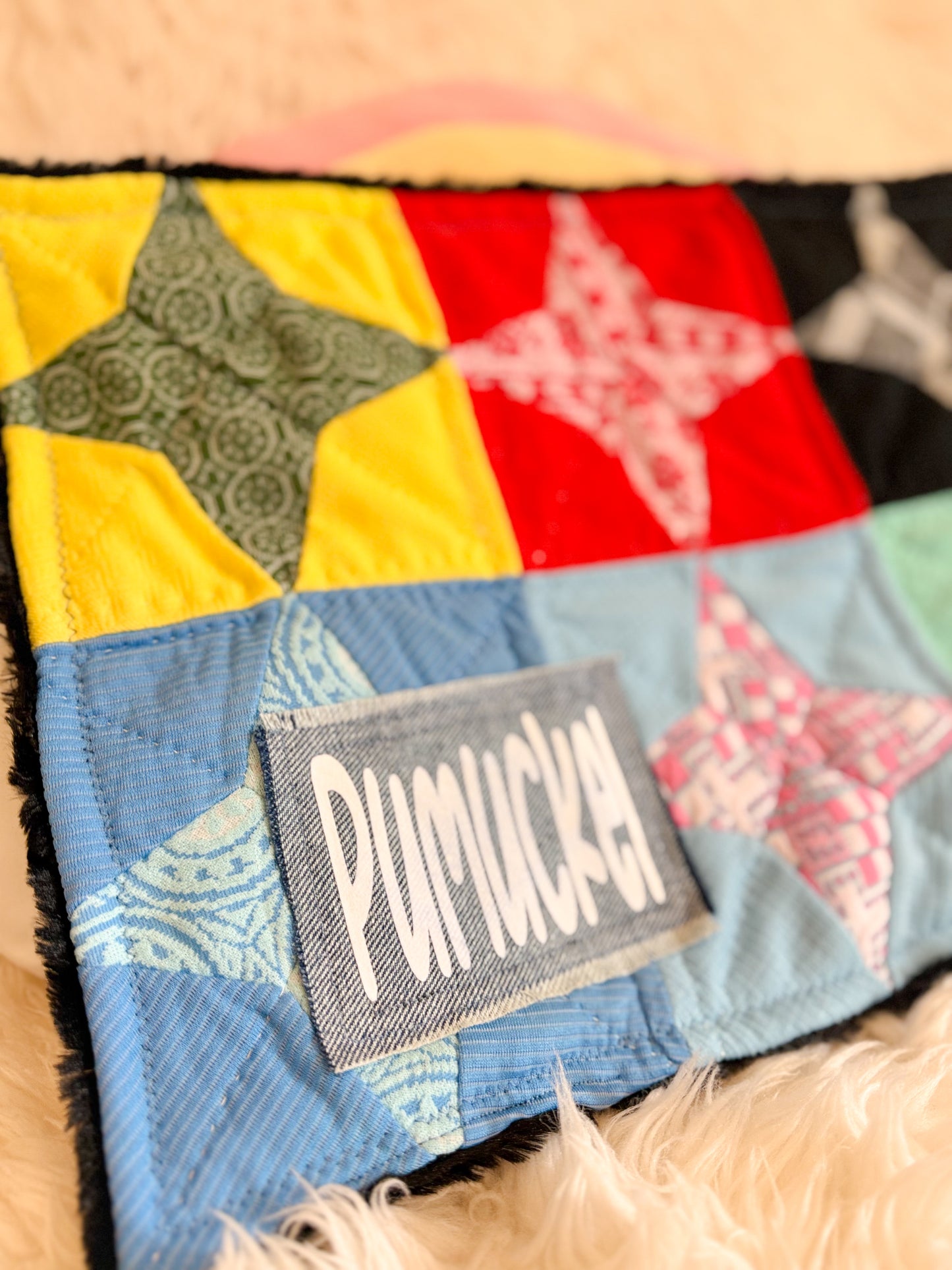 BeanTown Buddies® Custom Ordered For Karen F.