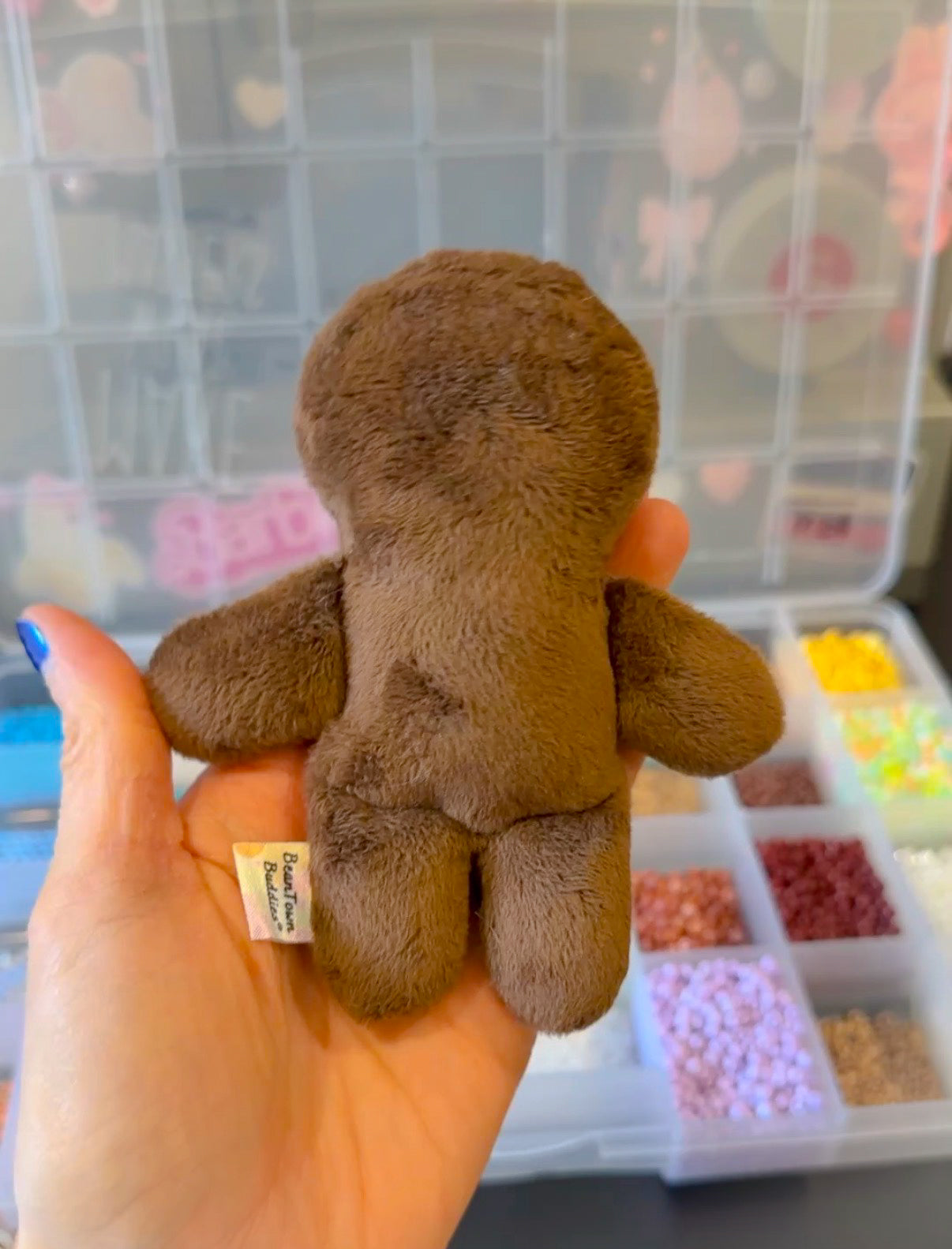 BeanTown Buddies® Pocket Cosmic Browni Babi RESERVED FOR KATIE