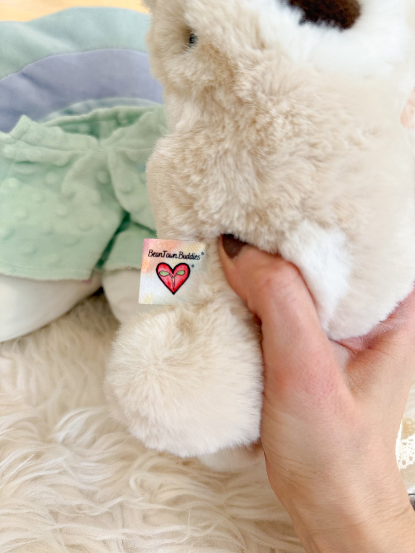 BeanTown Buddies® Floofi Cloaked Wolfi