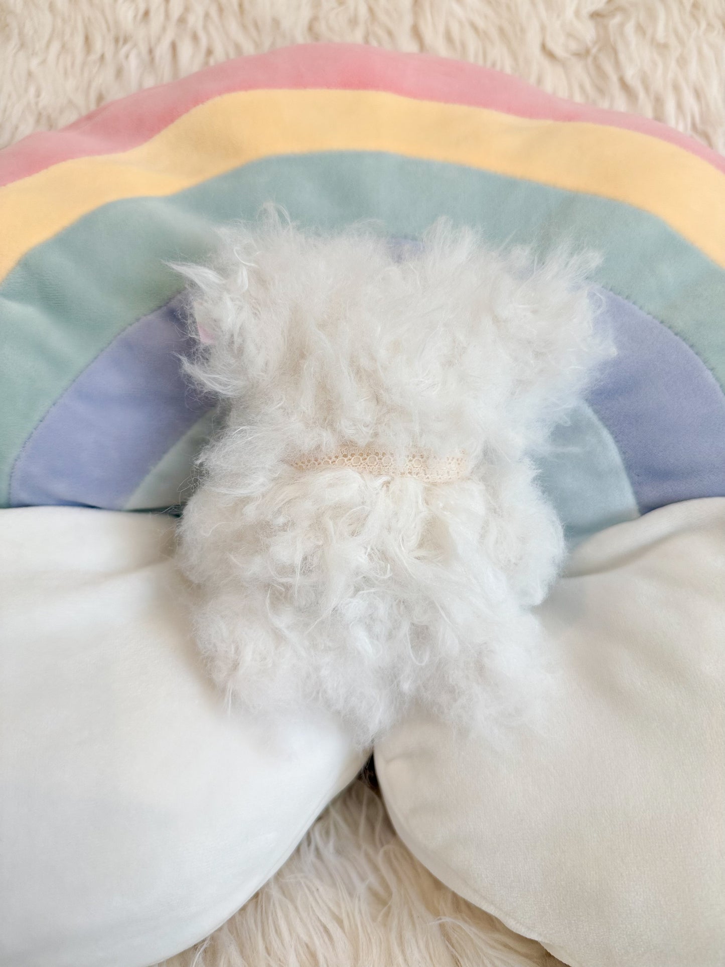 BeanTown Buddies® Fuzzi Pocket Teddi