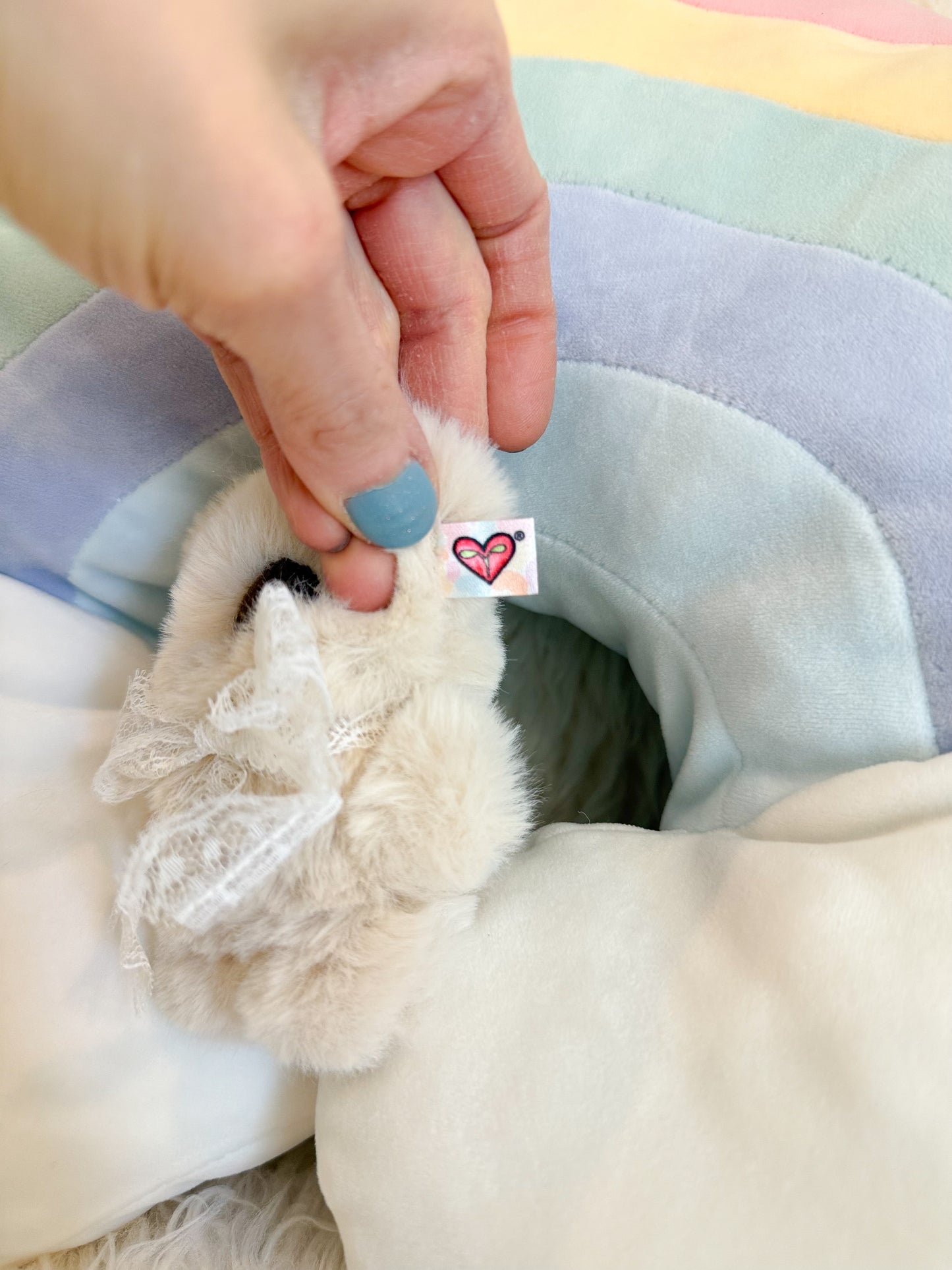 BeanTown Buddies® Micro Floofi Teddi