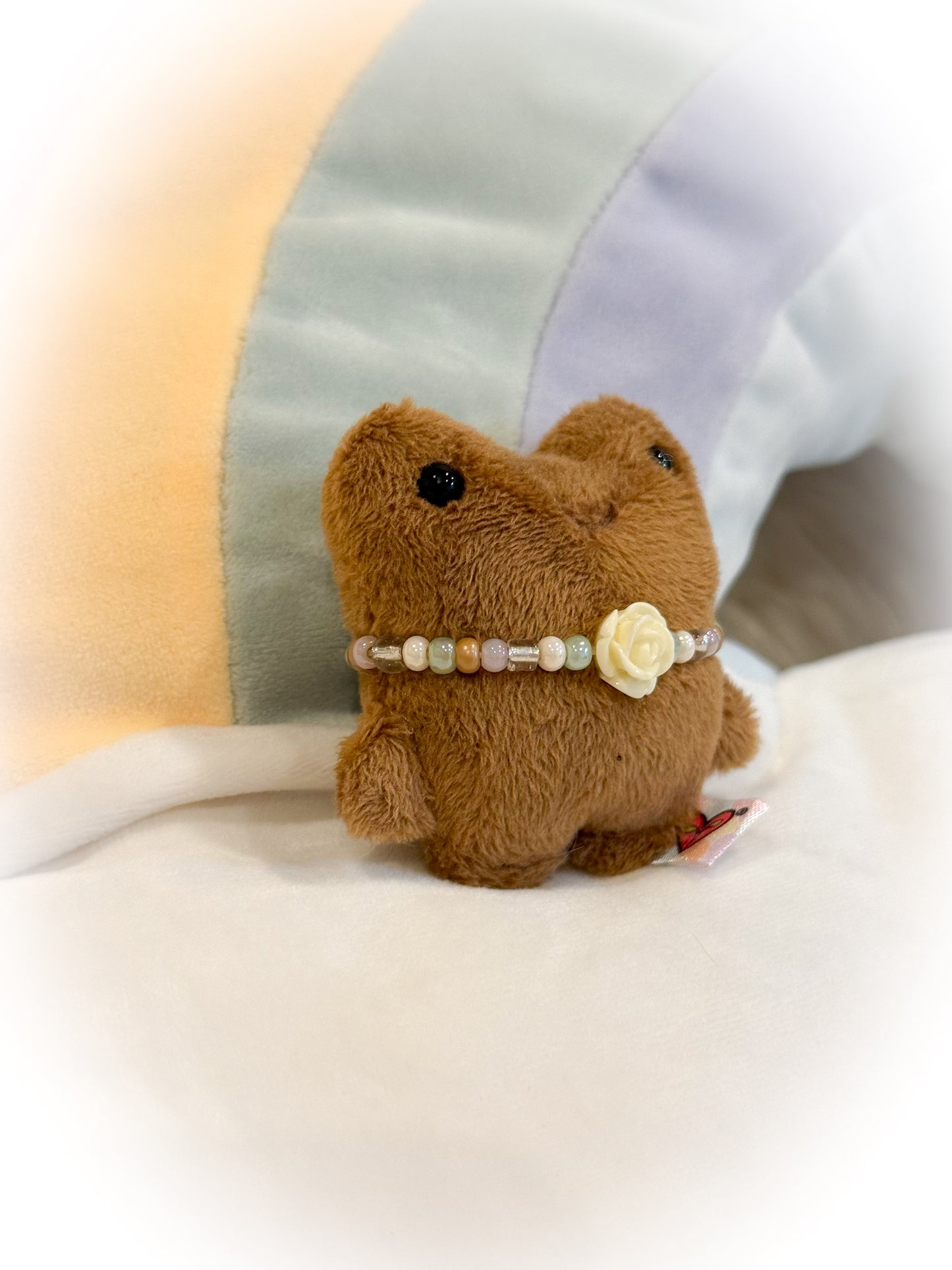 BeanTown Buddies® Teeny Cheeky Toadi